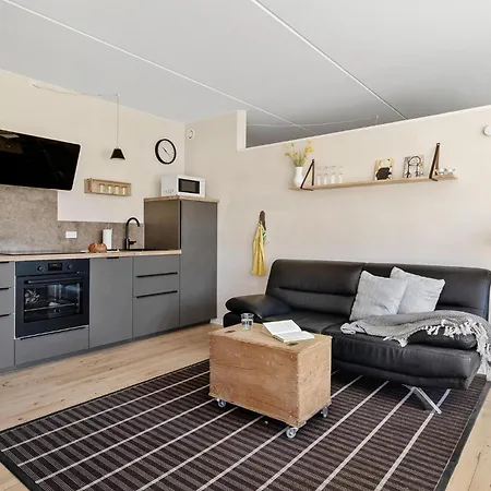 Apartment Cozy In With Kitchen